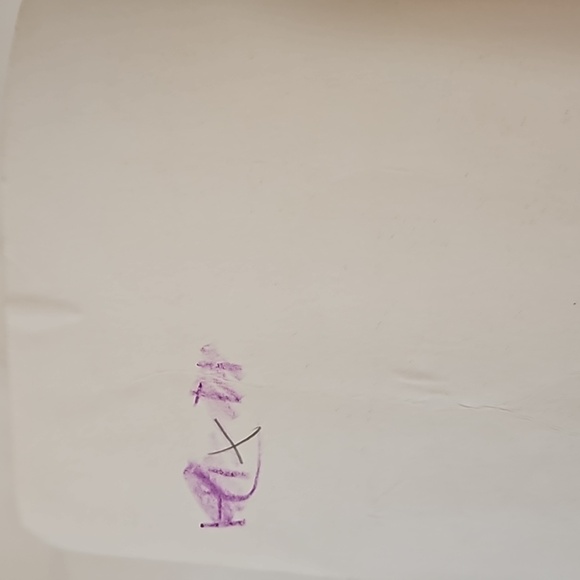 Rachel Renée Russell Dork Diaries Tales from a Not so talented Pop Star- Glam TV - Picture 8 of 17